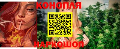 прущие грибы Краснокаменск