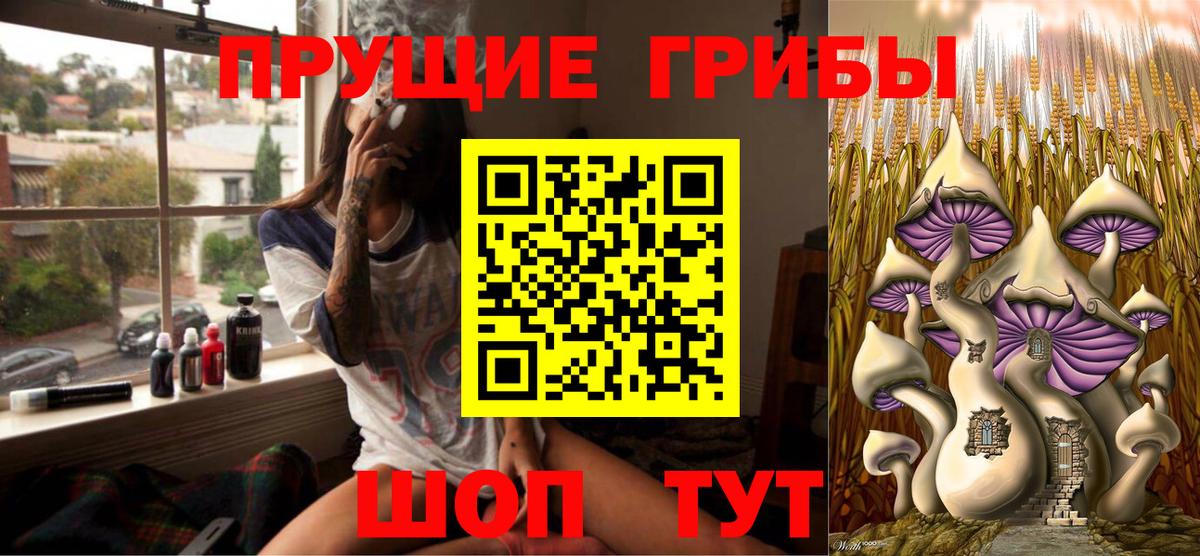 Зерноград  Галлюциногенные грибы Psilocybe  Вход с VPN 