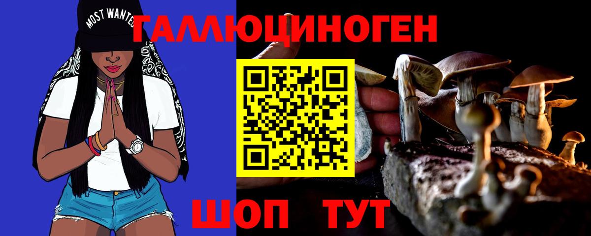Псилоцибиновые грибы Cubensis Зерноград